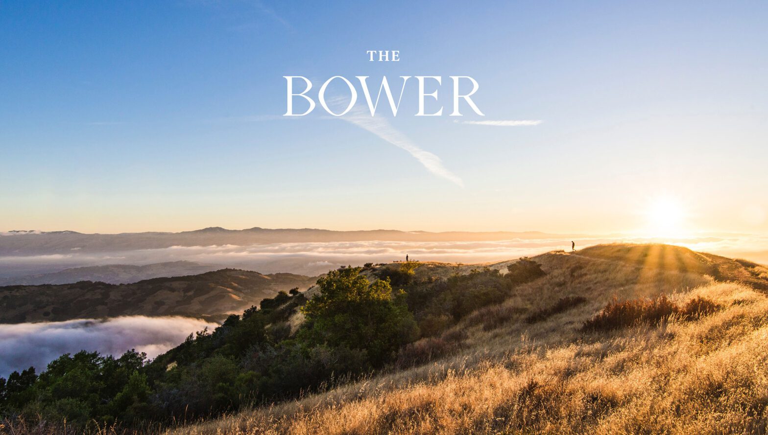 The Bower