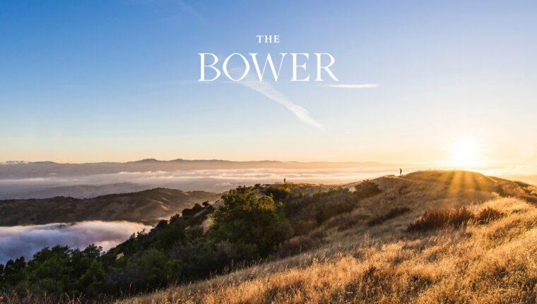 The Bower